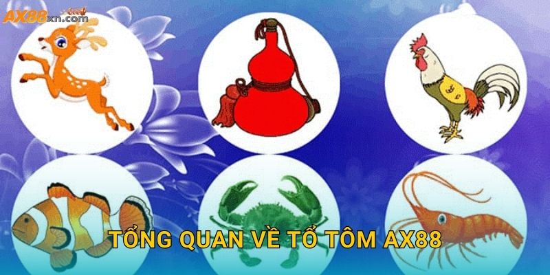 Tổng quan về Tổ Tôm AX88