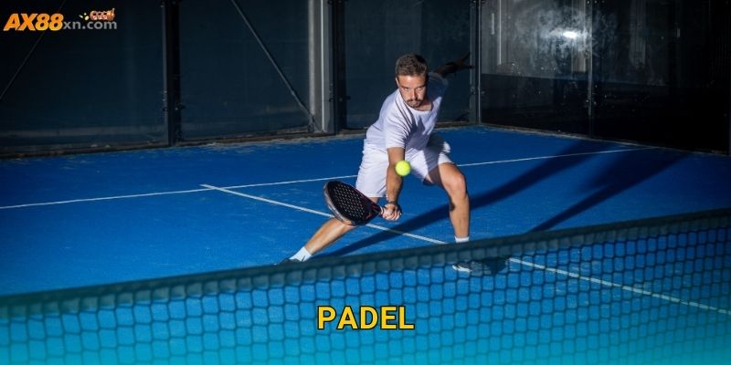 Padel AX88 và trải nghiệm mới mẻ cho người yêu thể thao