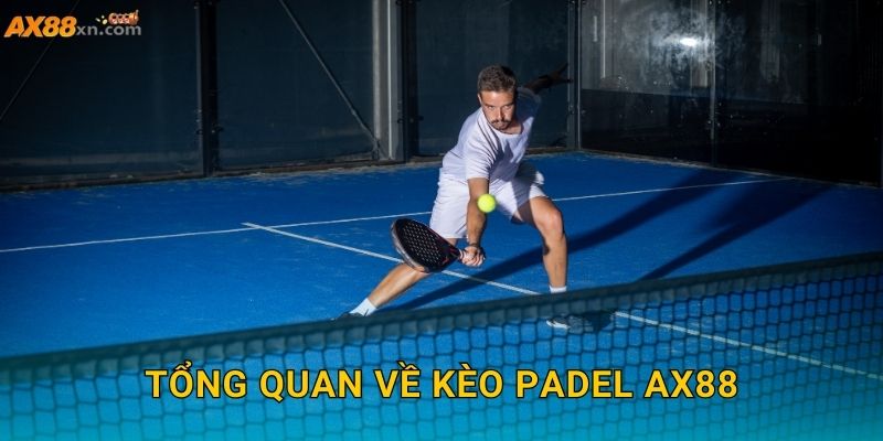 Tổng quan về kèo Padel AX88